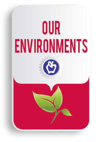 Environments Shield